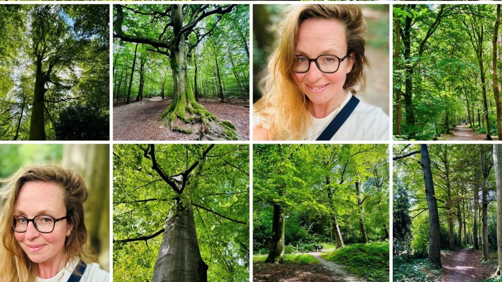 De Kracht van Stilte: Hoe Je Weer Verbinding Vindt met&nbsp;Jezelf